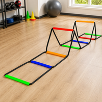 agility ladder
