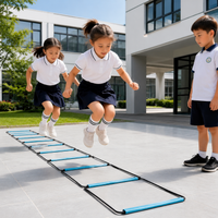 agility ladder