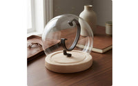 Clear Watch Display Dome Cloche  Showcase Dust Protection Watch Dome Display Lightweight