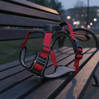 Reflective Dog Vest Harness Lightweight 2-in-1 Dog Harness Leash Get Loose-Resistant for Outdoor