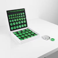 68 Pieces Watch Crystal Pressing Dies Recessed Watch Bezel Press Dies Foam-Lined Tooling for Watchmakers, Hobbyists, Workshops
