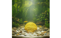 3D Printed Aquatic Cave Odorless Crustacean Dome Hideout Easy to Assemble