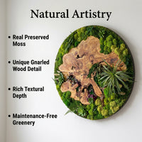 moss art wall decor