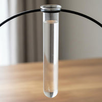 Nordic Aesthetic Water-Based Vase Modern Design Iron Frame Test Tube Vase Elegant Accent Glass Tube Flower Stand for Living Room, Office Desk