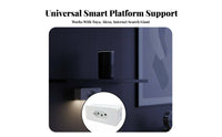 Brazilian Conventional Plug Schedule & Timer Function Wirelessreless Fi Smart Plug 16A Smart Outlet Distant Control App