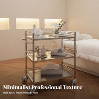 Oral Hygiene Instrument Cart Locking Wheels Oral Hygiene Serving Cart Heavy-Duty Stainless Steel Medical Trolley for Dentists, Surgeons, Hospital, Spa