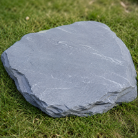 Natural Slate Garden Stone for Paths, Gray, 30x120 cm, Thickness 3-4 cm