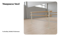 Double Dance Training Bar Stable Base Fixed Dance Practice Bar Heavy Duty Floor Mounted Dance Barre for Dancers, Beginners, School, Gym