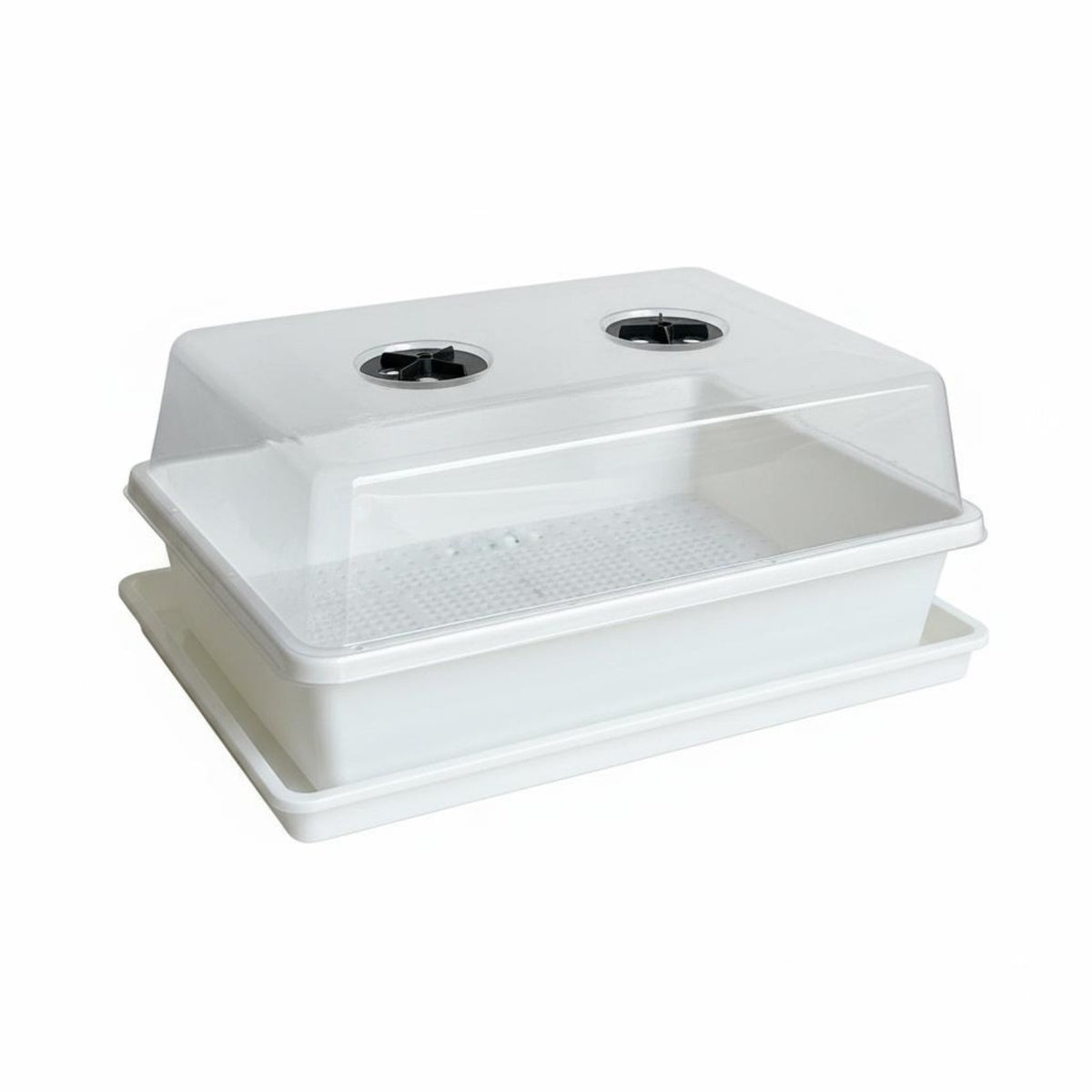 Plant Propagation Box Thickened Plastic Ling Tray with Humidity Dome Ling Propagation Box Sturdy & Reusable