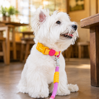 Dog Leash Night Walk Large Dog 1.5m Waterproof Polyester Lemon Yellow Snap Closure