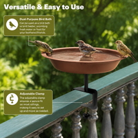 bird bath feeder