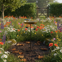 Bird Bath Feeder Outdoor Decoration Bird Bath Stand Feeder Heavy Duty Garden Decor for Courtyard