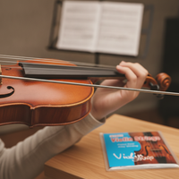 Premium Violin Strings Set - Silver Wound Steel Core for Enhanced Performance