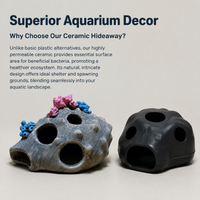 aquarium ornament