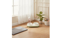 Long-Lasting Elevated Tilted Pet Bowl Set Easy to Clean Automatic Cat Feeder and Water Dispenser Large Capacity Weight-Operated Pet Feeding Station Detachable Design for Cats
