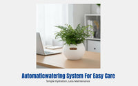 Self-Watering Planter, Thickened Resin, Round Matte Desktop Pot, Hydroponic or Soil, Minimalist Home Garden Design
