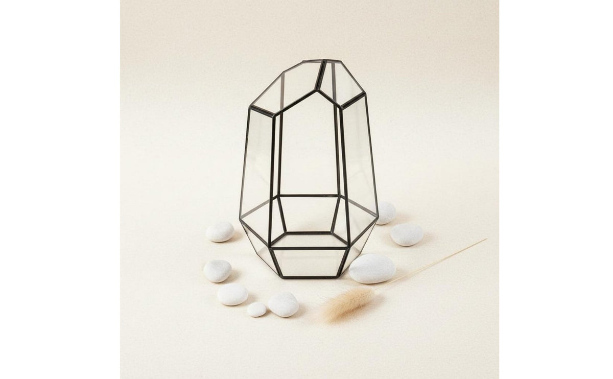 Geometric Plant Terrarium Modern Design Geometric Glass Planter Nordic Design Display Case for Home Stylists, Desktop, Windowsill, Office