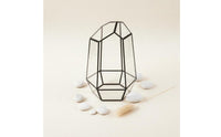 Geometric Plant Terrarium Modern Design Geometric Glass Planter Nordic Design Display Case for Home Stylists, Desktop, Windowsill, Office