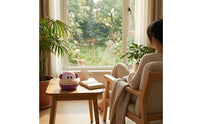 Cartoon Kitchen Timer Mechanical Animal Kitchen Timer Manual for Kids, Students, Learning, Classroom