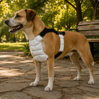 Pet Cooling Vest Harness Molded Segmented Cooling Vest Buckle Adjustable Pet Harness