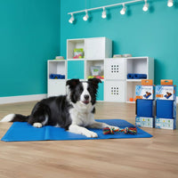 Dog Cooling Mat Washable Pet Cooling Mat Easy to Clean for Dogs, Cats, Summer, Travel, Car