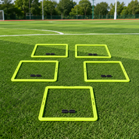 agility training rings