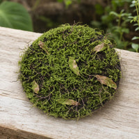 artificial moss decor