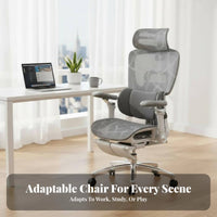 Highspine Ergonomic Seat with Headrest Reclining spinerest for work-from-home Workers