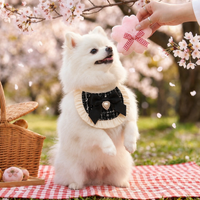 pet bandana