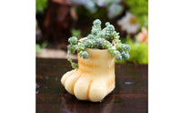 Feline Foot Planter Adorable Paw Shaped Flower Pot Feline Blossom Pot for Patio