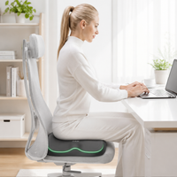seat cushion set