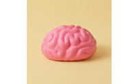 Raised Grooves Brain Squishy Toy Pink Brain Stress Ball Slow Rising Anatomy Stress Ball Handheld