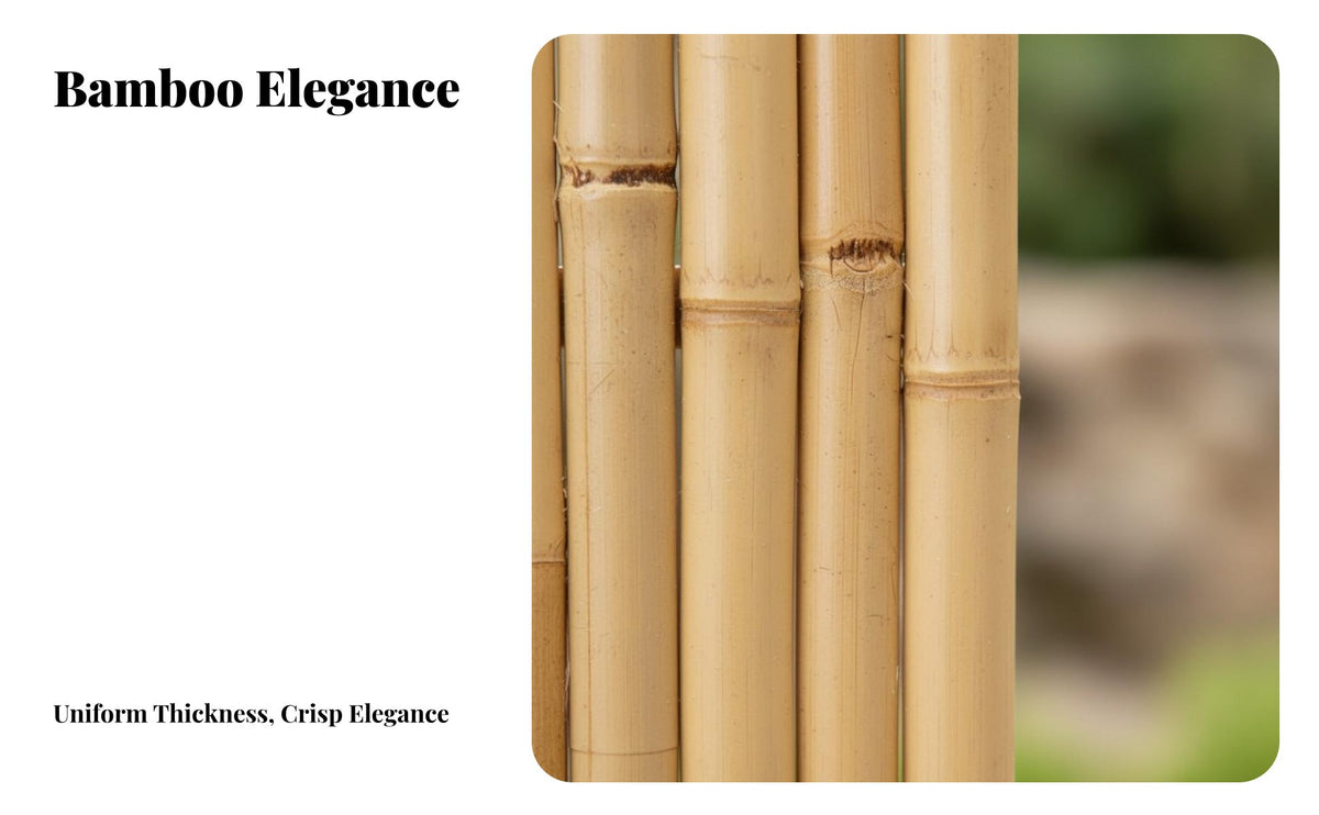 Bamboo Garden Fence Decorative Bamboo Fence Weather Resistant for Homeowners, DIY Enthusiasts, Outdoor, Backyard, Balcony