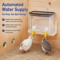 pet feeder and waterer set