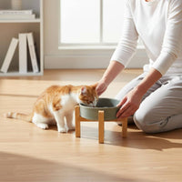 Cat Food Water Bowl Anti-Tip Pet Bowl Easy to Clean Feeding Station fit cats, Small Pets