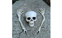 3 Pieces Bone-Colored Skull and Skeleton Arms Outdoor Skeleton Arm Stakes Spooky Halloween Lawn Stakes Scary