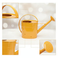 Metal Watering Can with Sprinkler Head Arched Handle Watering Can with Long Spout Stylish Vessel Modern for Gardeners
