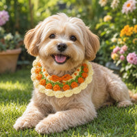 pet collars