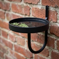 Outdoor Balcony Wall-Mounted Metal Bird Bath & Planter Holder
