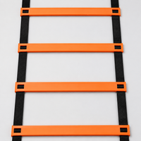 agility ladder