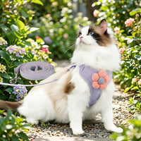 Cat Vest Harness and Leash Set, Adjustable Walking Vest Style Harness with Leash Included, Outdoor Small Cat Walking Harness for All Kittens