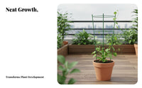 Climbing Plant Support Climbing Plant Frame Keeps Plants Tidy Flower Support Stake for Patio, Balcony, Indoor