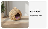 Woven Feline Cave All-Season Use Pet House Handwoven Pet Bed for Small Dog Owners, Indoor, Living Room, Bedroom