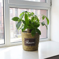 Plant Pots for Indoor Plants with Waterproof Liner, Floor Standing Indoor Plant Pot and Flower Pots, Seagrass Woven Basket, 1 Pack Storage Basket