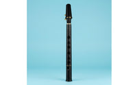 C Key Beginner Saxophone Compact 8-Hole Saxophone Easy to Learn Wind Instrument for Beginners, Travel