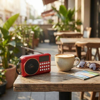 Carry Strap Multi-Band Bluetooth Radio Display Window Home Electronics USB Cable Sound Gadget Battery Powered