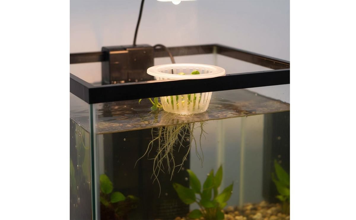 Soilless Net Pot Deepened Design Soilless Cultivation Basket Promotes Roots Soilless Planting Basket for Indoor Gardeners, Fish Tank, Vase