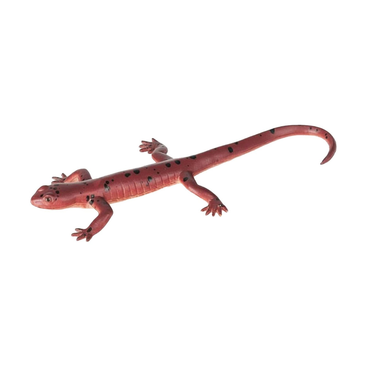Toys Educational Figure Halloween Decoration Simulation  Model for Classroom