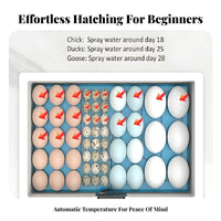 Water Bed Egg Hatchery Constant Temperature Small Egg Hatcher Air Circulation System Household Fowl Hatchery for Hobbyists, Beginners, Classroom
