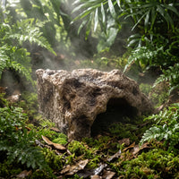 Hide Cave Resin Aquarium Cave Natural for Aquatic Creatures